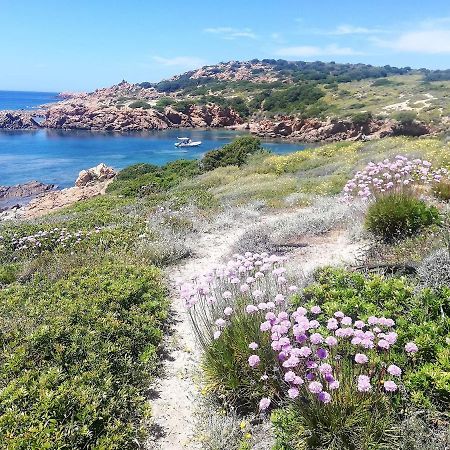 B&B La Tasgia Aggius Eksteriør billede