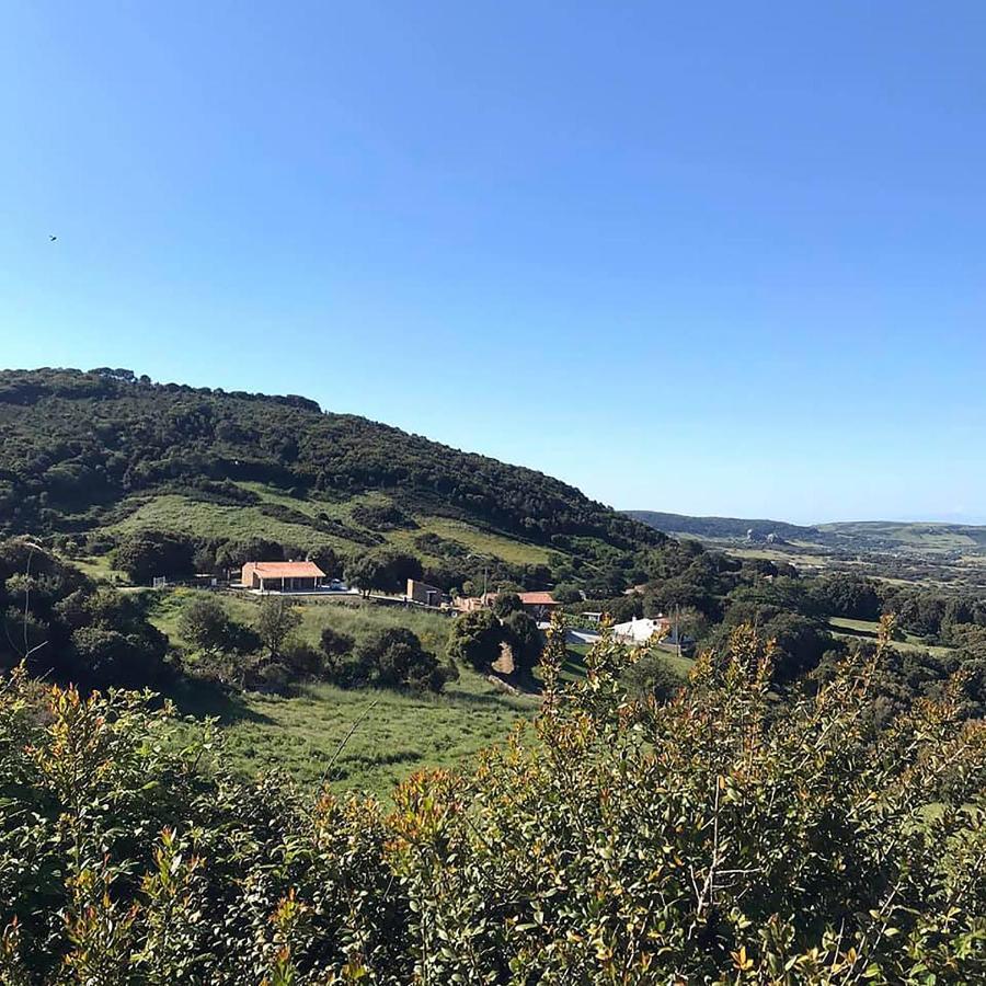 B&B La Tasgia Aggius Eksteriør billede