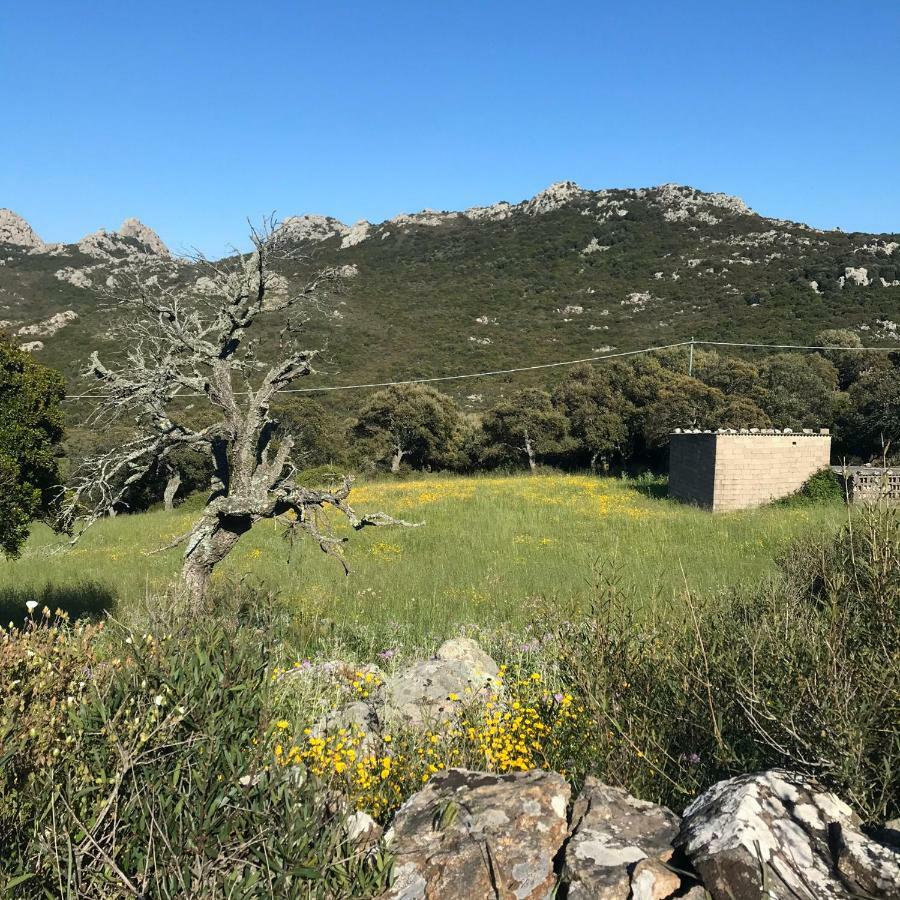 B&B La Tasgia Aggius Eksteriør billede