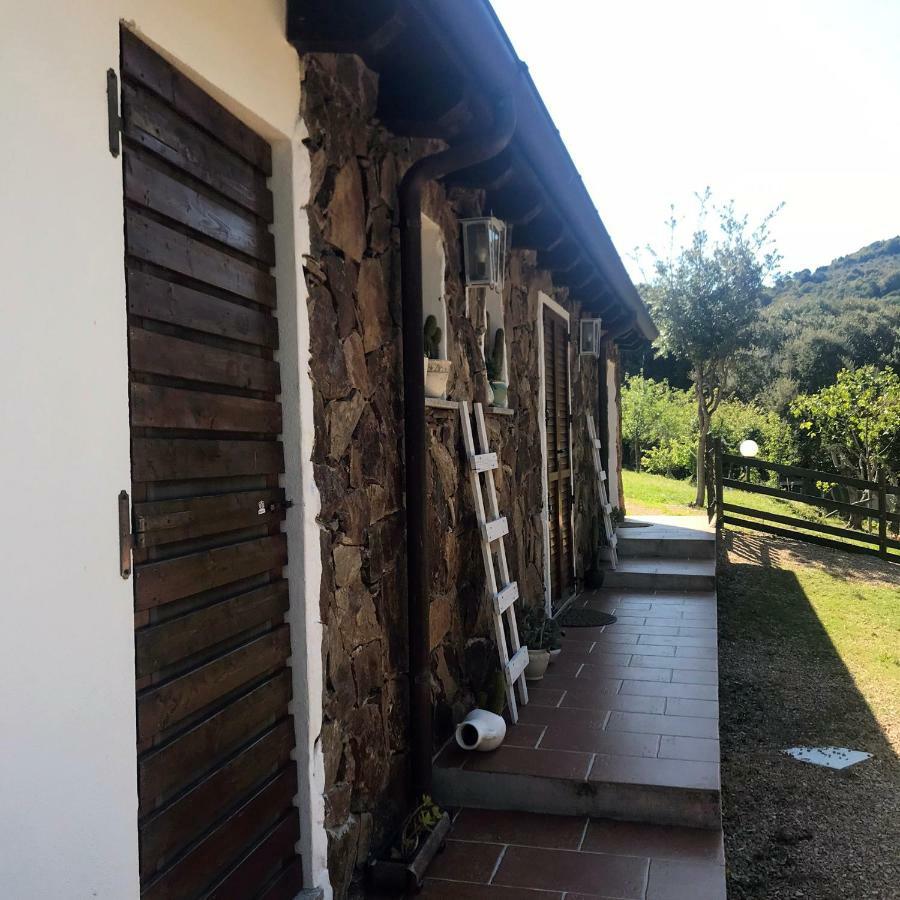 B&B La Tasgia Aggius Eksteriør billede