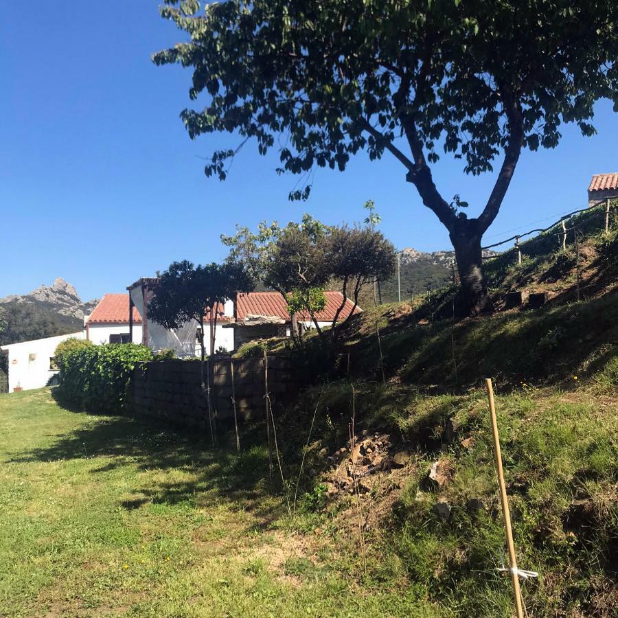 B&B La Tasgia Aggius Eksteriør billede