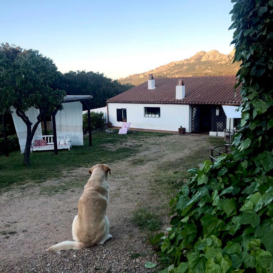 B&B La Tasgia Aggius Eksteriør billede