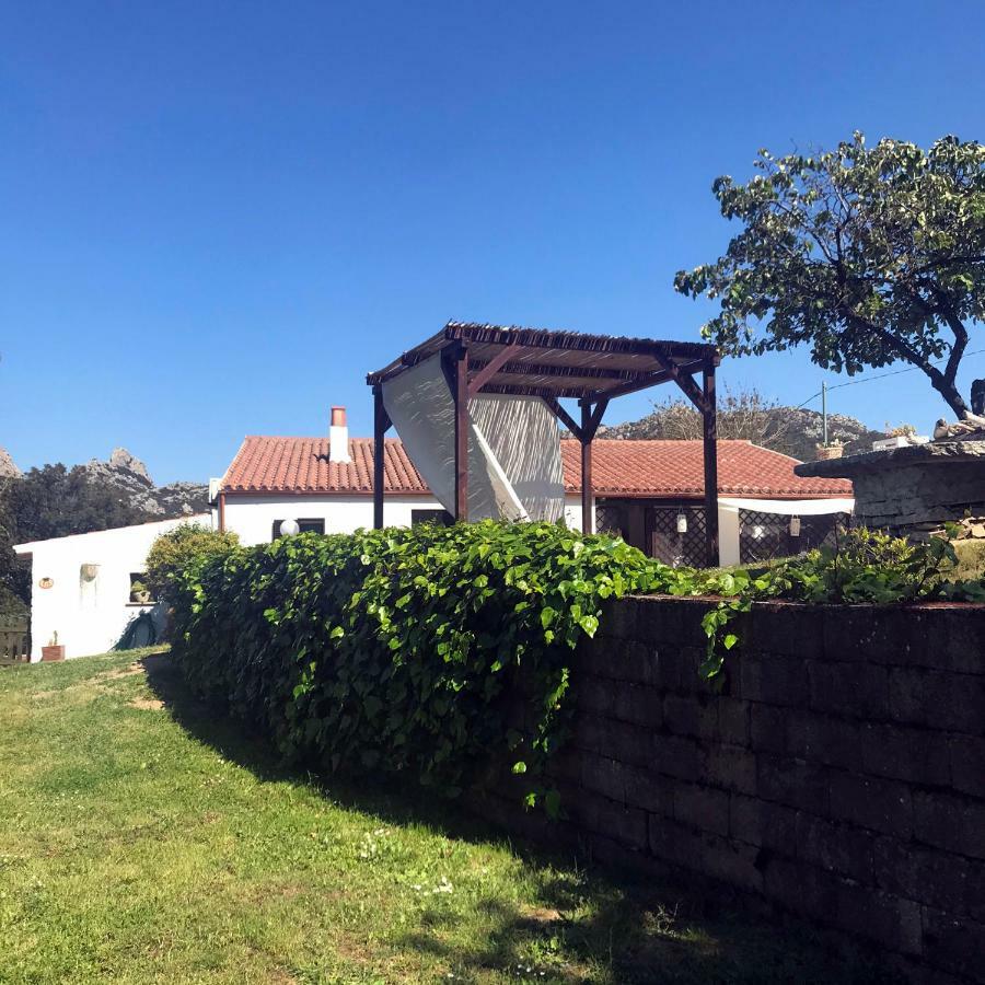 B&B La Tasgia Aggius Eksteriør billede