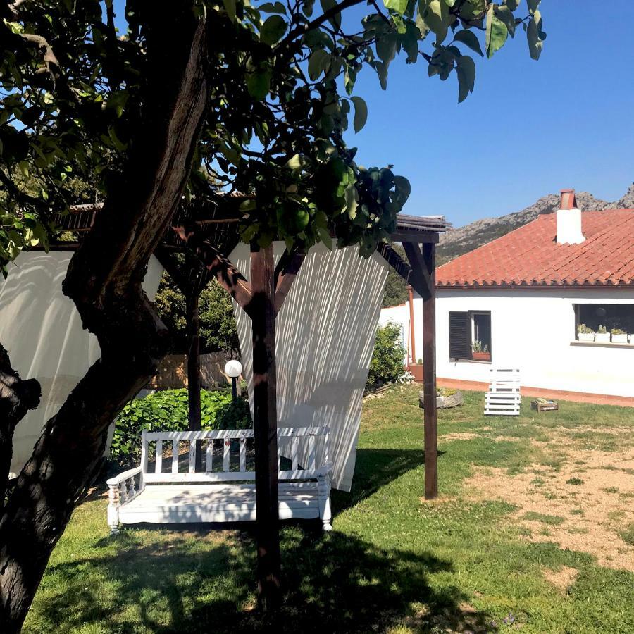 B&B La Tasgia Aggius Eksteriør billede