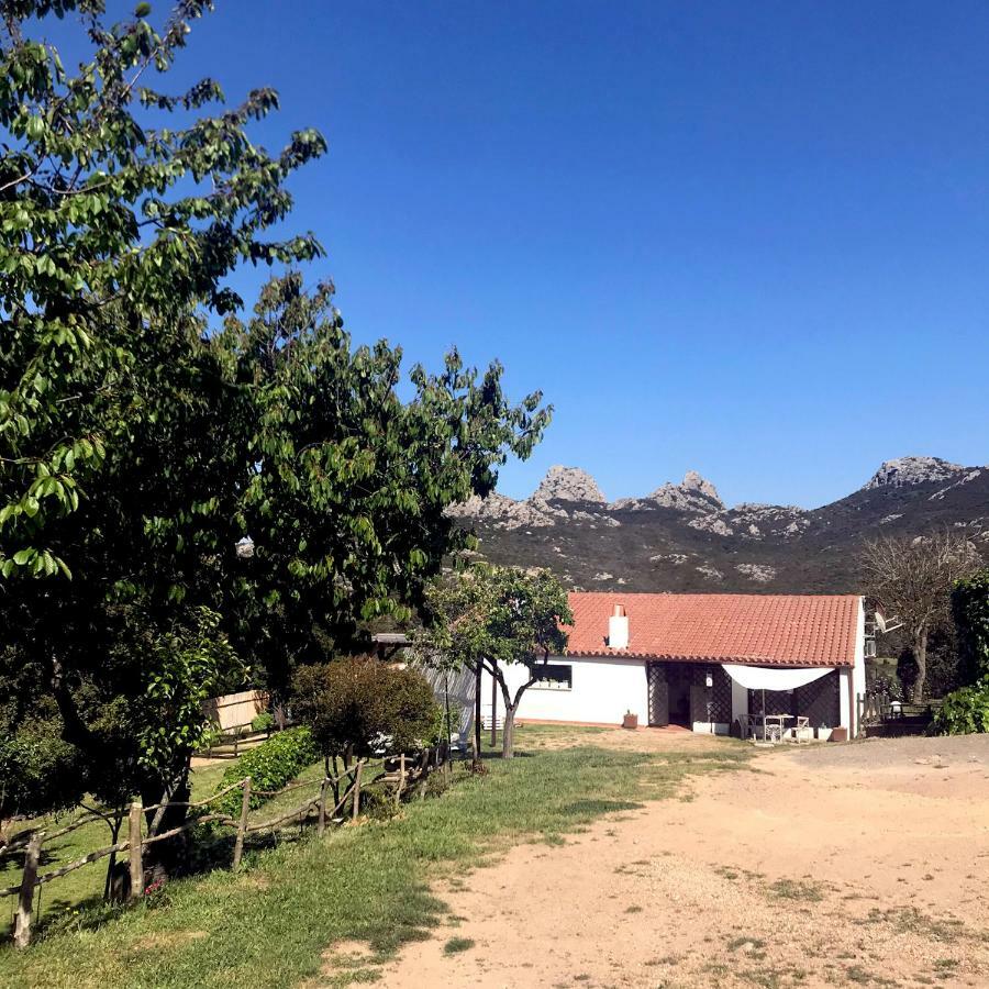 B&B La Tasgia Aggius Eksteriør billede
